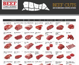 Beef Retail Cut Chart Half Final