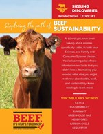 Beef Sustainabilty Reader_1