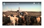 BQA Video