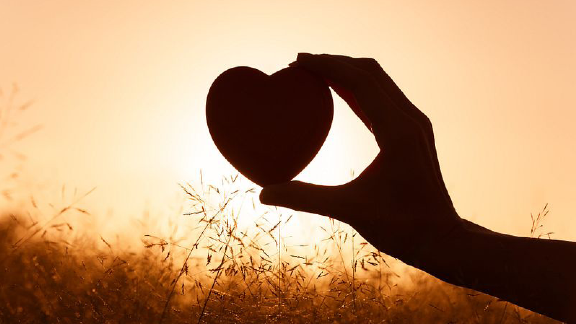 Heart Healthy 2 scroll image