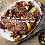 OBC 2020 Annual Report Image