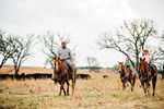 Robinson Horseback 