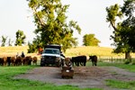 White Creek Ranch Feed Bunk